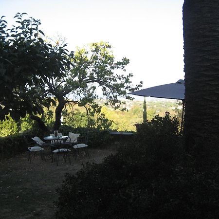 B&B Villa Panicucci Ливорно Экстерьер фото