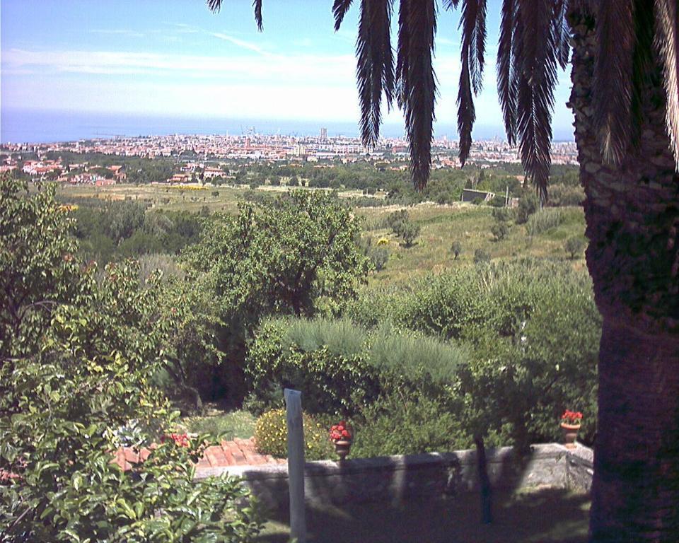B&B Villa Panicucci Ливорно Номер фото
