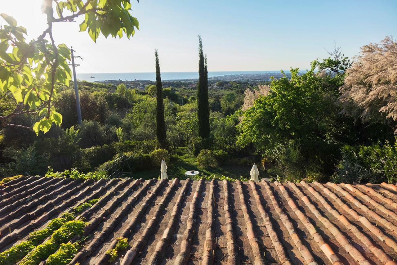 B&B Villa Panicucci Ливорно Экстерьер фото